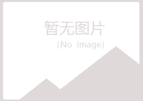 白城洮北夏菡化学有限公司